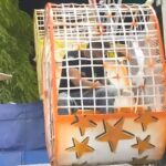 Polícia Civil inicia indiciamento de quatro responsáveis por acidente em roda-gigante em Rorainópolis