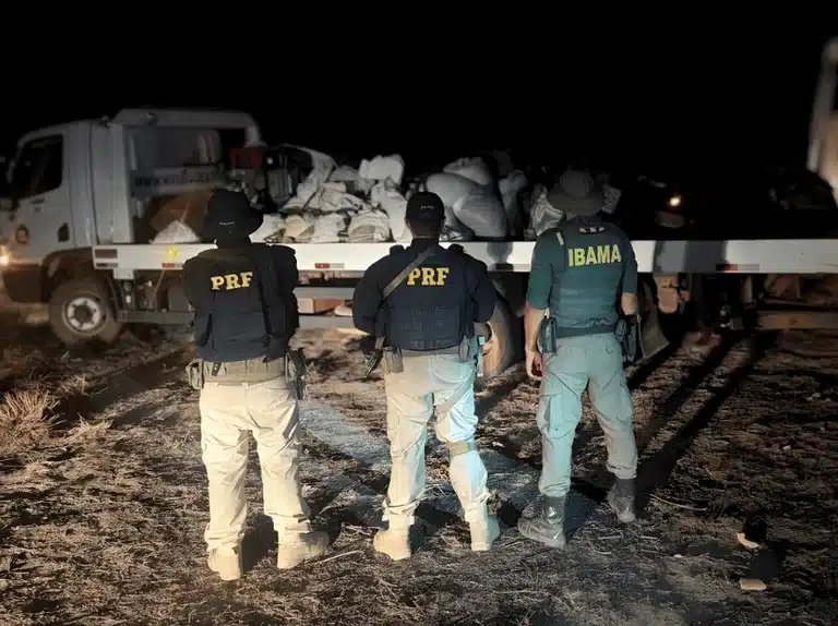 Suspeito é detido com grande quantidade de minério e estrutura de garimpo