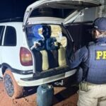 Fotos: Ascom | PRF-RR