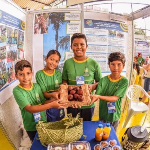 Alunos de 110 Escolas Participam da 4ª Feira de Iniciação Científica de Boa Vista