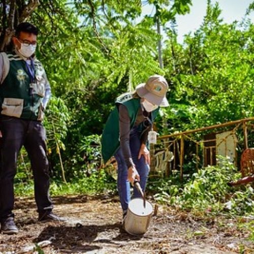 Governo Federal Lança Plano de Ação para Combater Arboviroses em Roraima