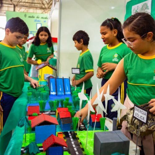 4ª Feira de Iniciação Científica de Boa Vista: Alunos Exibem Projetos sobre Biomas do Brasil e Competem por Troféus