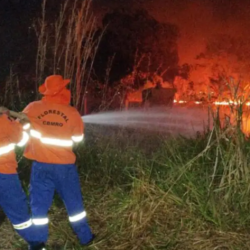 AUMENTO DE 354% EM SITUAÇÕES DE EMERGÊNCIA POR INCÊNDIOS FLORISTAIS EM AGOSTO