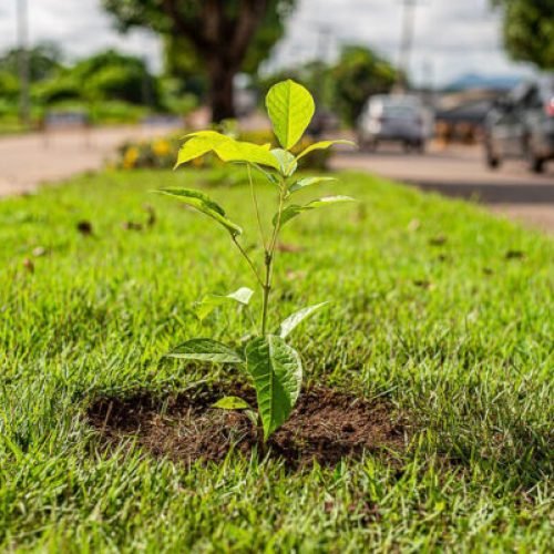 Inscrições abertas para a 3ª Conferência Municipal do Meio Ambiente