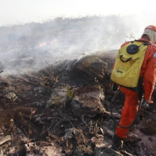 Incêndios no Brasil Devastam 11,39 Milhões de Hectares em 2024, com Aumento Significativo em Agosto