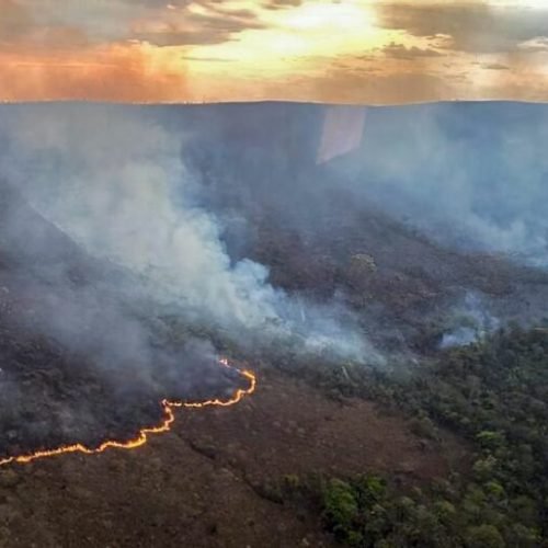 Brasil Enfrenta Aumento Alarmante de Incêndios: Cerrado Supera Amazônia em Número de Focos